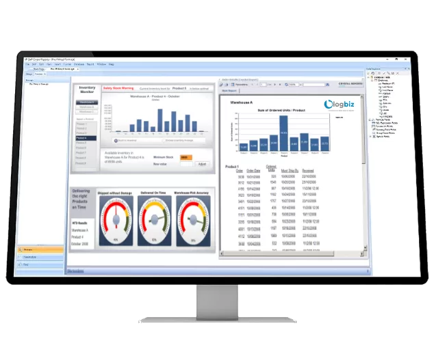 Dashboards CrystalReport SAP Business One